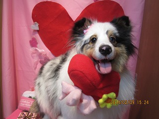 ファイル 7041-2.jpg