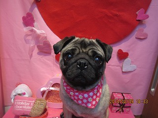 ファイル 7042-1.jpg