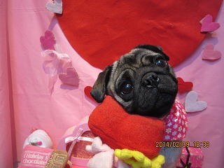 ファイル 7042-2.jpg