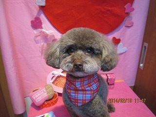 ファイル 7043-1.jpg