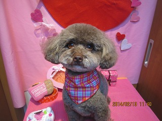 ファイル 7043-2.jpg