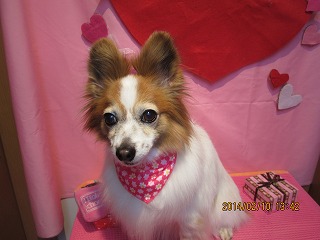 ファイル 7044-2.jpg