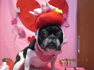 ファイル 7046-2.jpg