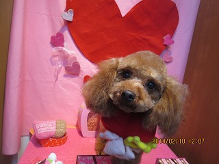 ファイル 7047-1.jpg