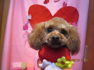 ファイル 7047-2.jpg