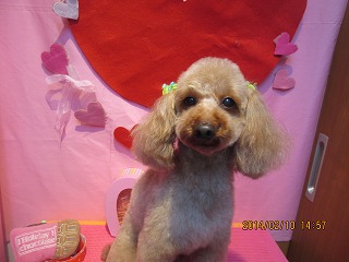 ファイル 7048-2.jpg