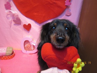 ファイル 7049-2.jpg