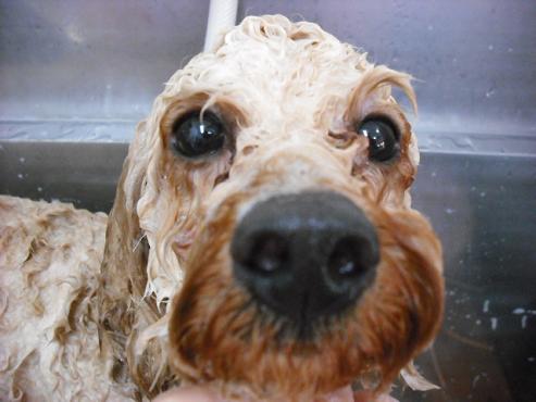 ファイル 705-2.jpg