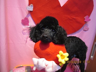 ファイル 7050-2.jpg