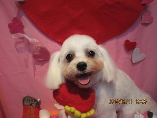 ファイル 7051-2.jpg