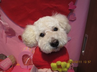 ファイル 7052-1.jpg