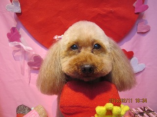 ファイル 7053-2.jpg