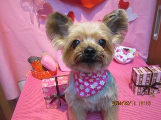 ファイル 7054-1.jpg