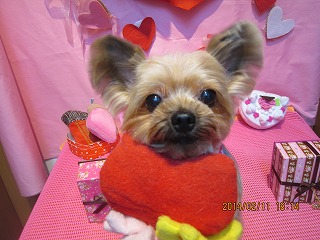 ファイル 7054-2.jpg