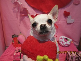 ファイル 7055-2.jpg