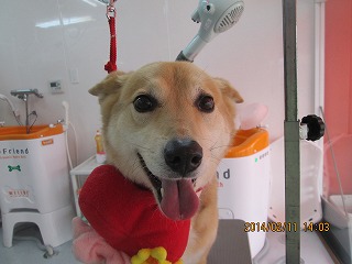 ファイル 7057-1.jpg