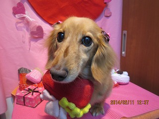 ファイル 7058-1.jpg