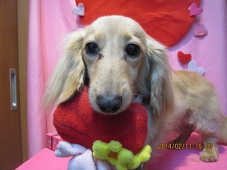 ファイル 7059-1.jpg