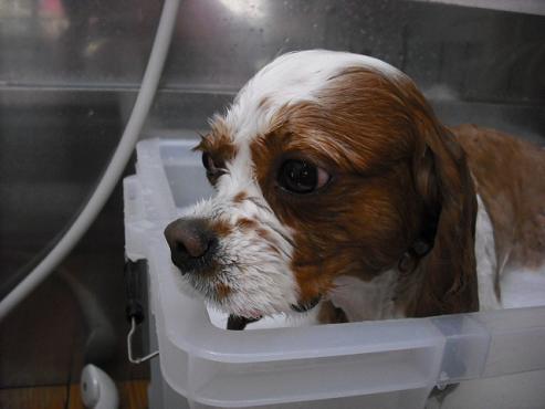 ファイル 706-2.jpg