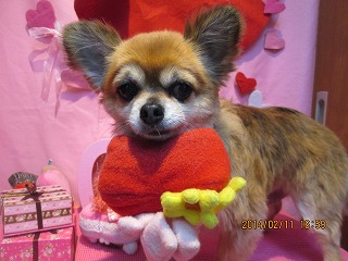 ファイル 7060-1.jpg