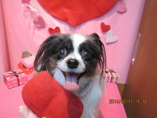 ファイル 7064-2.jpg