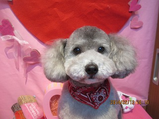 ファイル 7068-2.jpg