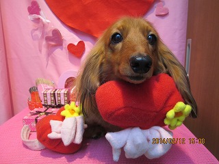 ファイル 7069-1.jpg