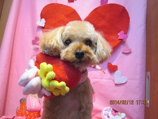 ファイル 7070-1.jpg