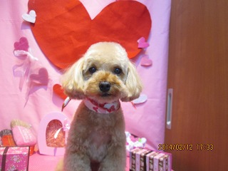 ファイル 7070-2.jpg