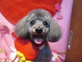 ファイル 7071-1.jpg