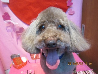 ファイル 7072-2.jpg