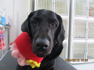 ファイル 7073-1.jpg