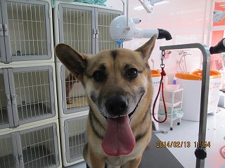 ファイル 7074-2.jpg