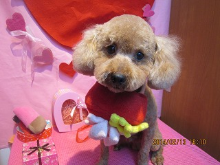 ファイル 7075-1.jpg