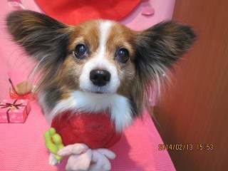 ファイル 7076-1.jpg