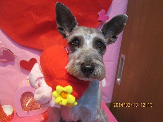 ファイル 7078-1.jpg