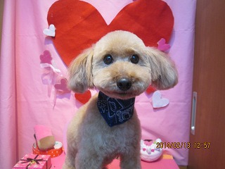 ファイル 7079-1.jpg