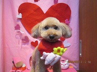 ファイル 7079-2.jpg