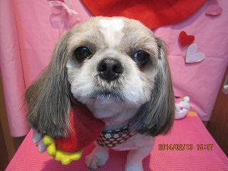 ファイル 7080-2.jpg