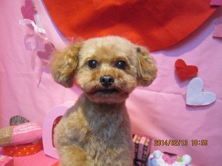 ファイル 7081-1.jpg