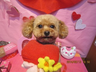 ファイル 7081-2.jpg