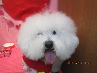 ファイル 7082-2.jpg