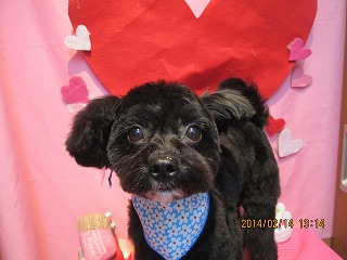 ファイル 7083-1.jpg