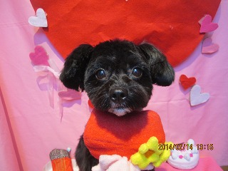 ファイル 7083-2.jpg