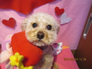 ファイル 7084-2.jpg