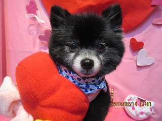 ファイル 7085-2.jpg