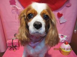 ファイル 7086-1.jpg