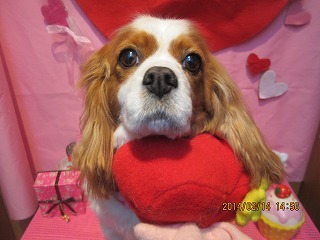 ファイル 7086-2.jpg