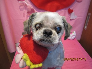 ファイル 7087-2.jpg