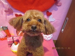 ファイル 7089-1.jpg